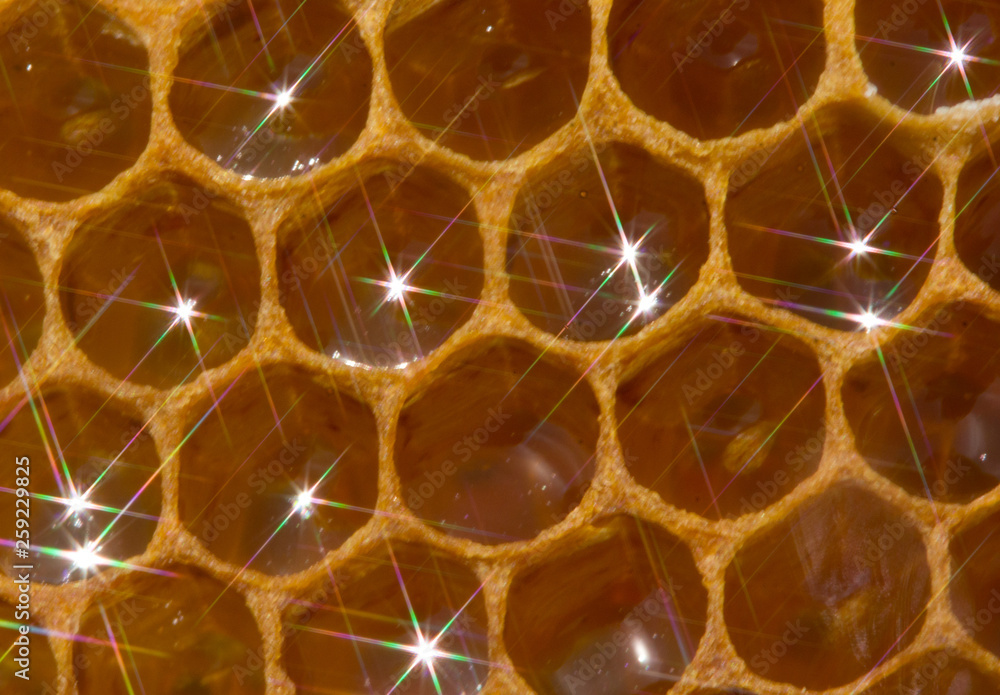 Fantasies of the beekeeper and physics Fantasies of the beekeeper and physics