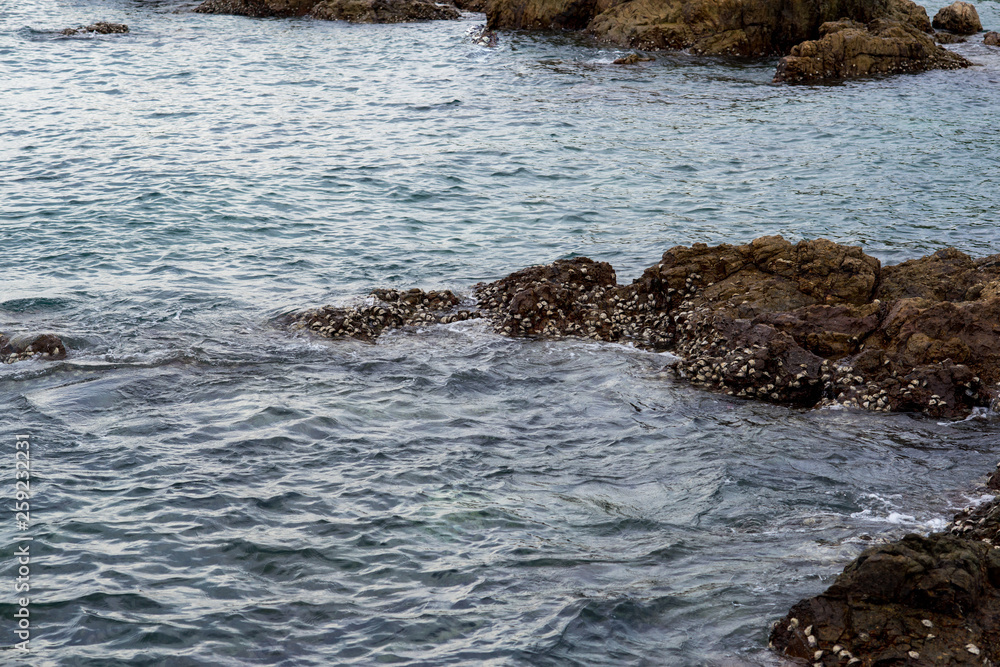 Naklejka premium ROCKY SEA TROPICAL ISLANDS