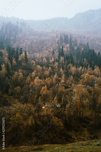 camp in the mountains © Ilya Postnikov