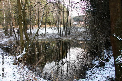 pond winter snow wilderness