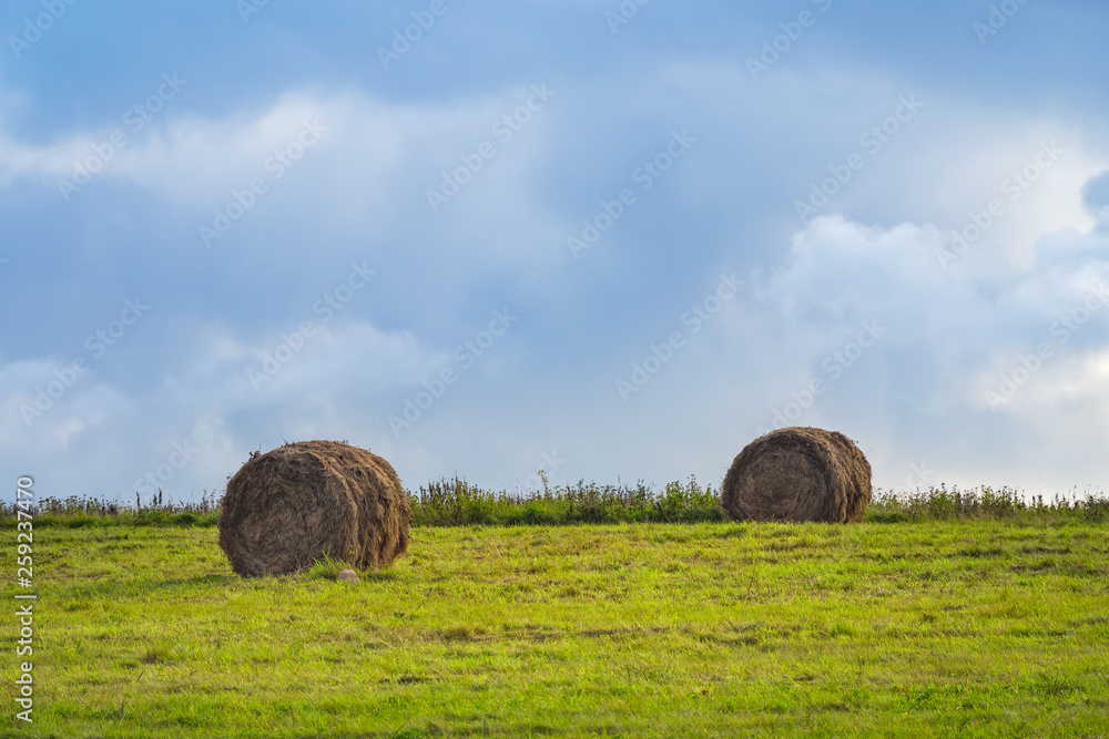 Stacks of hay in the green field in the evening. Cloudy sky