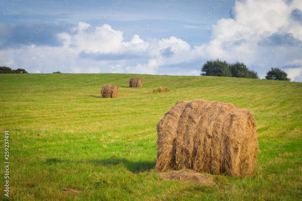 Stacks of hay in the green field in the evening. Cloudy sky