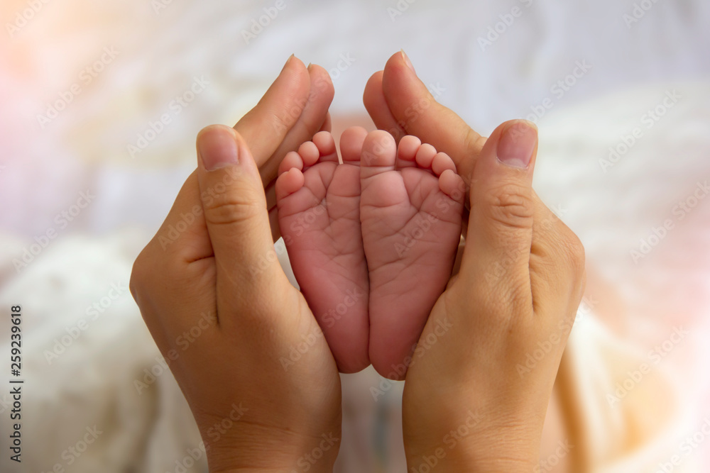 Baby feet top in hands