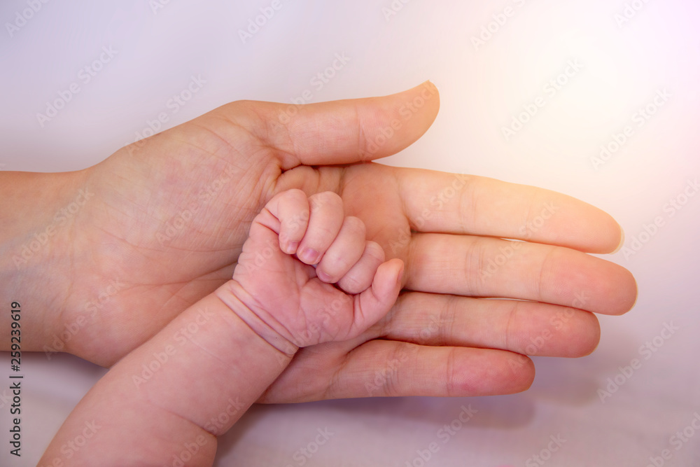 Parent Holding in the Hands baby Hand clenched into fist of Newborn Baby. Parent Care of Newborn Baby. Little Tiny Kid Fingers. Parent Holding in the Hands baby Hand clenched into fist of Newborn Baby. Parent Care of Newborn Baby. Little Tiny Kid Fingers.