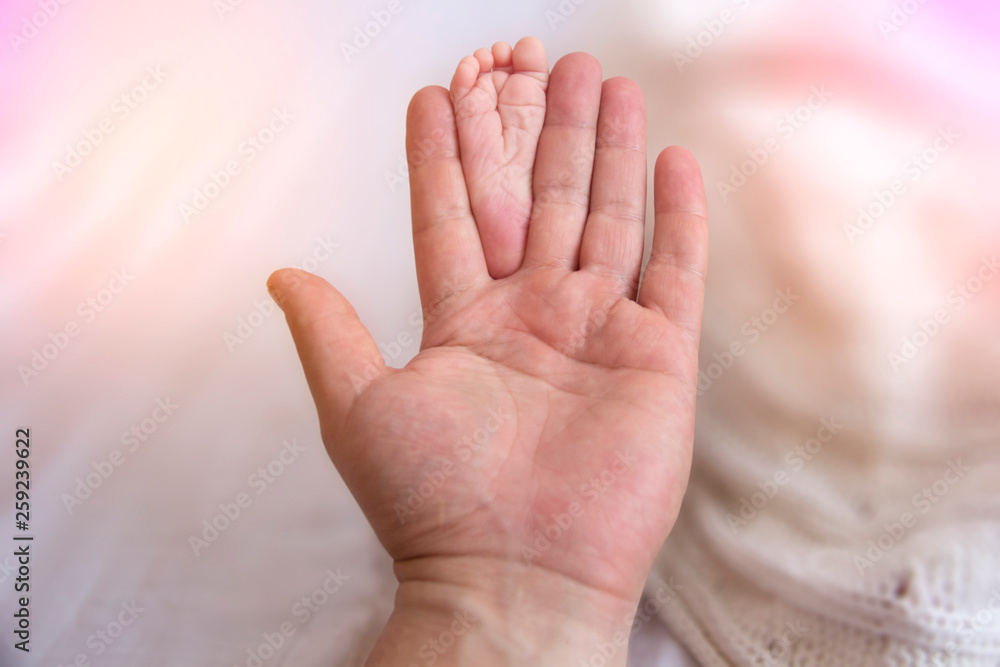 Father Hands Holding Small Baby Feet. Close-up Tiny Baby Feet in Hands. Father Care of Newborn Baby. Little Tiny Kid Fingers. Father Hands Holding Small Baby Feet. Close-up Tiny Baby Feet in Hands. Father Care of Newborn Baby. Little Tiny Kid Fingers.