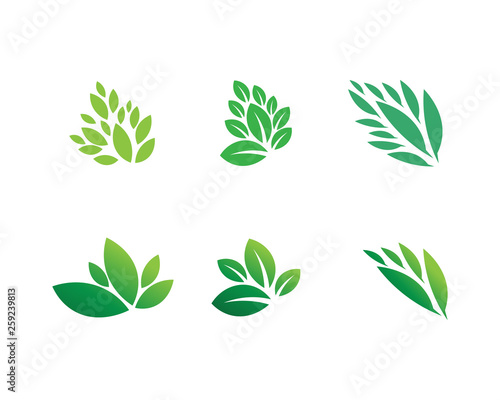 Tree leaf vector logo design  eco-friendly concept.