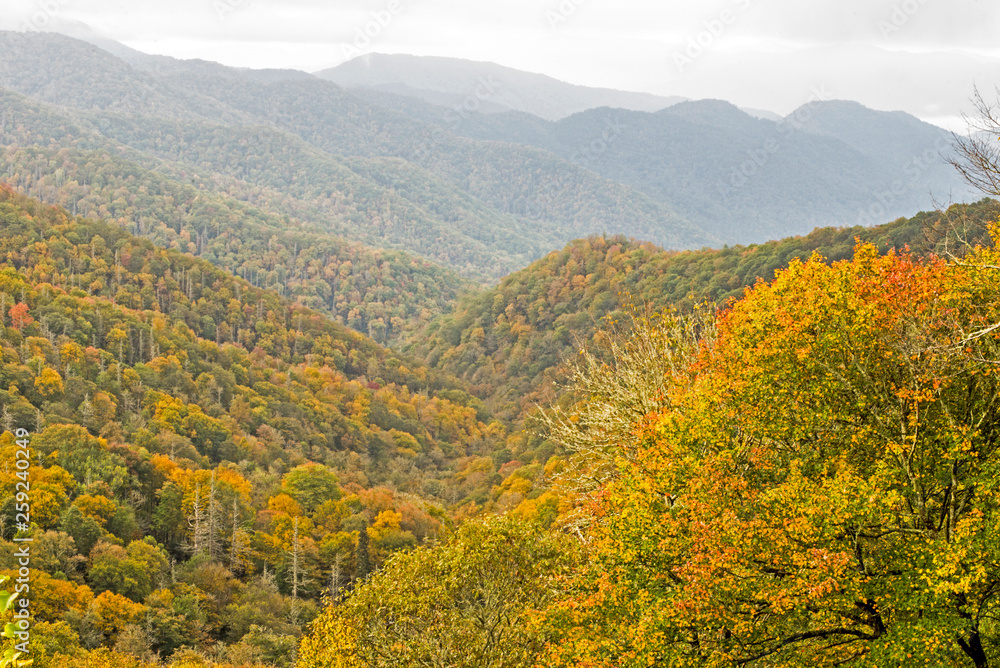 Mountain peak in The Smokies in fall colors.