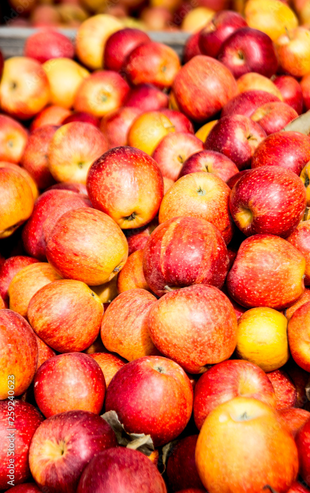 Fresh fruit in bins ready for sale in the mountains. Fresh fruit in bins ready for sale in the mountains.