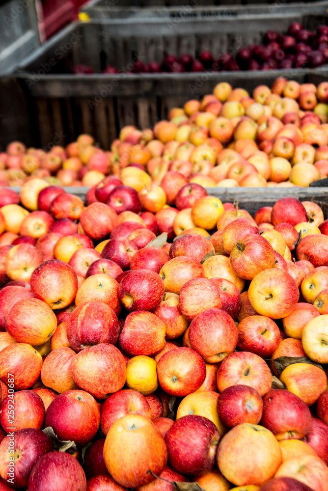 Fresh fruit in bins ready for sale in the mountains. Fresh fruit in bins ready for sale in the mountains.