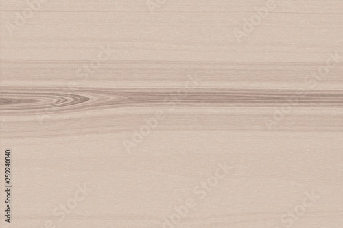 White wood background texture light, blank.