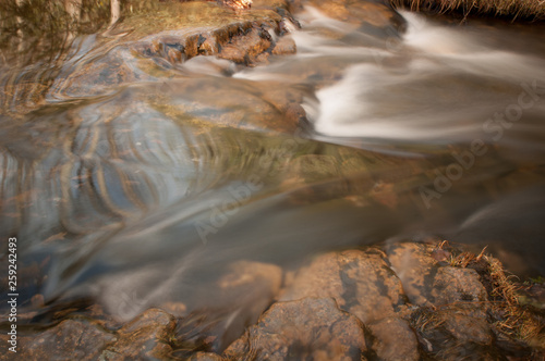 Bear creek preserve  Pennsylvania