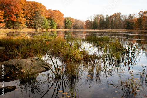 Lacawac Sanctuary, Pennsylvania