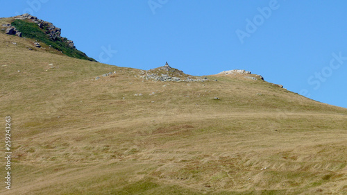 Wildlife at high altitude hidden in the depths of the mountains