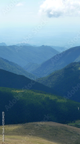 Wildlife at high altitude hidden in the depths of the mountains