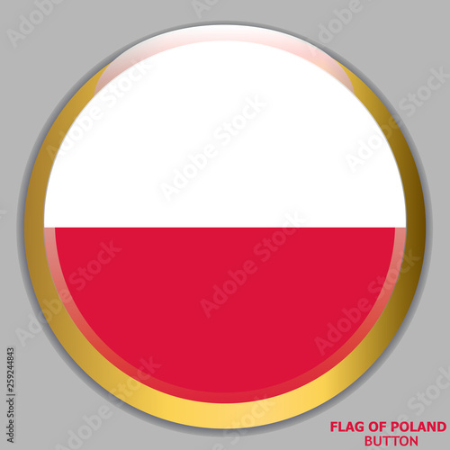 Free Download Bright button with flag of Poland. Colorful illustration with flag for web design. Illustration with grey background. - GFXLoad