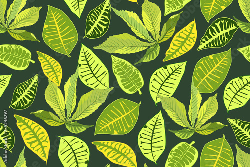 Tropical vector seamless pattern.