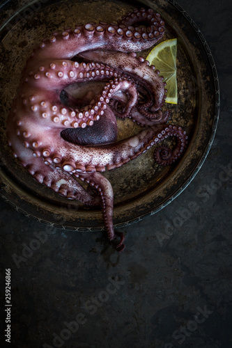octopus on a platter photo