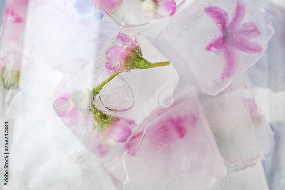 Floral ice cubes in glass as background, closeup Floral ice cubes in glass as background, closeup