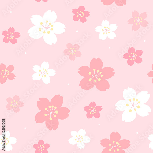 Cherry blossom seamless pattern