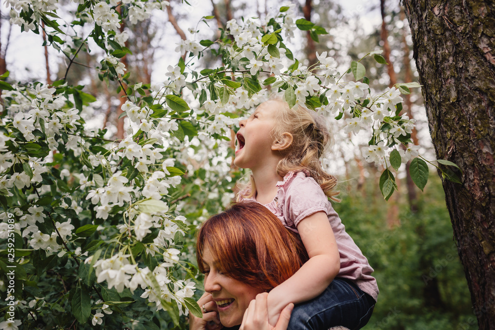 Under the Jasmine bush Under the Jasmine bush