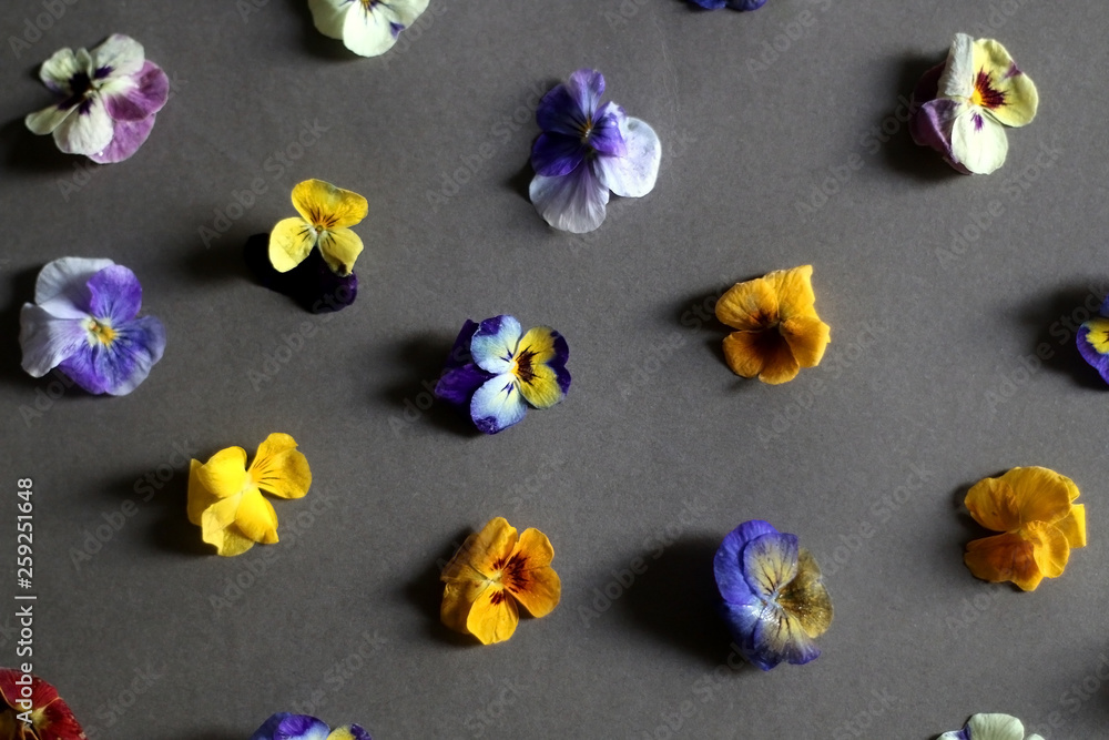 Arrangement of edible flowers on grey background. Top view, selective focus. Arrangement of edible flowers on grey background. Top view, selective focus.