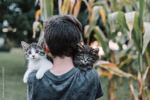 Boy and kitty photo