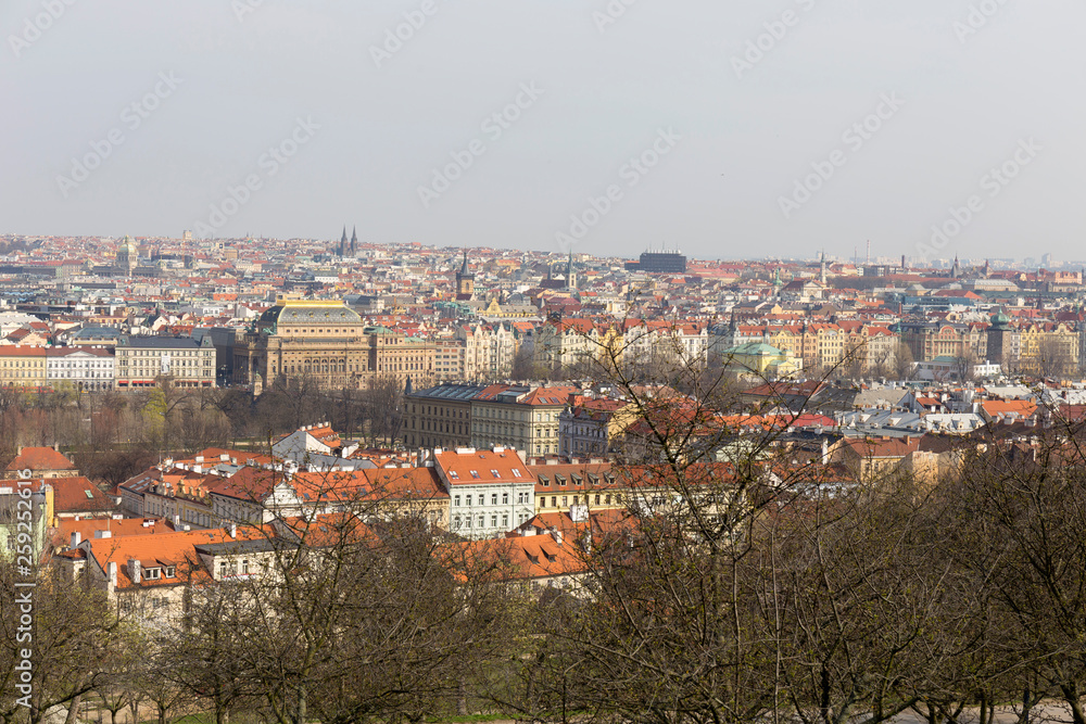 Early spring Prague City with the green Nature and flowering Trees, Czech Republic