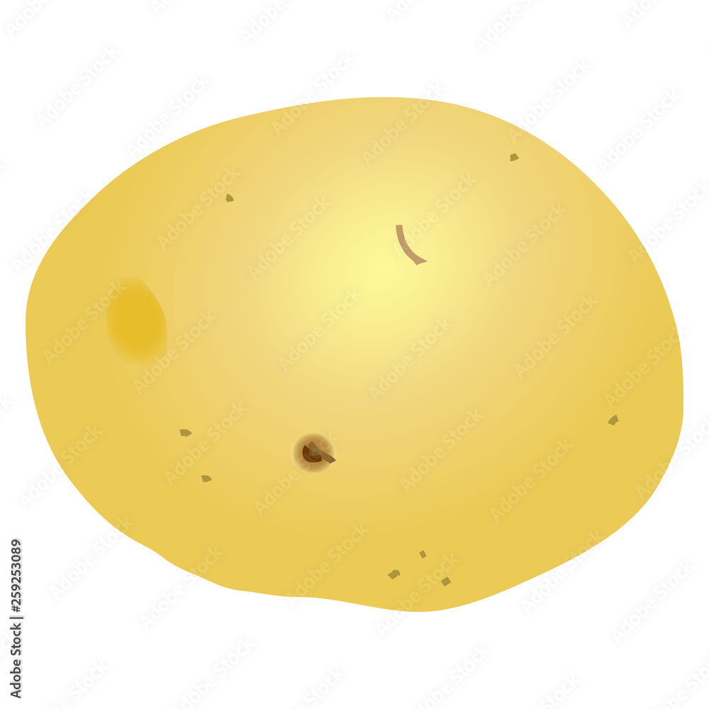 Fototapeta premium 新じゃがいも