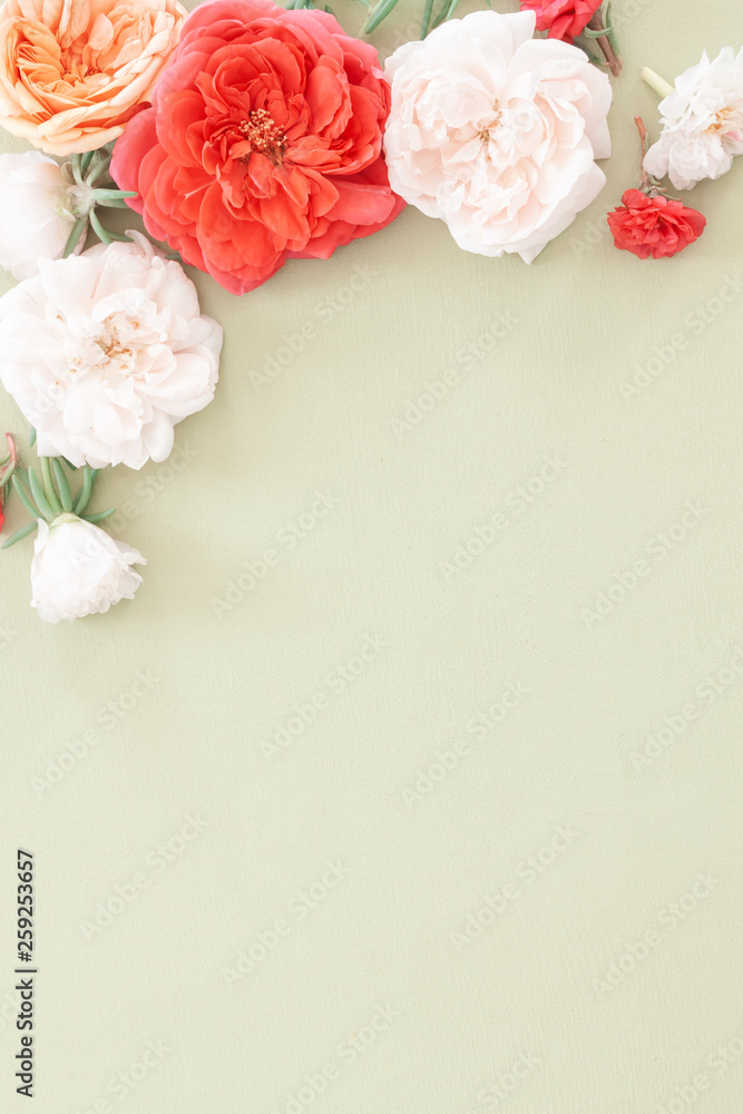 Frame from flower in pastel colors