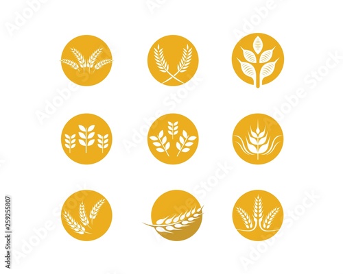 Wheat vector icon illustration