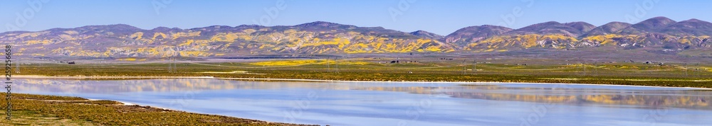 Wildflower covered mountains reflected in the temporary waters of Soda Lake, Carrizo Plain National Monument, Central California