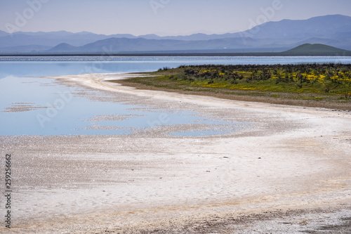 Salt crystals on the shoreline of the temporary Soda Lake, Carrizo Plain National Monument, Central California