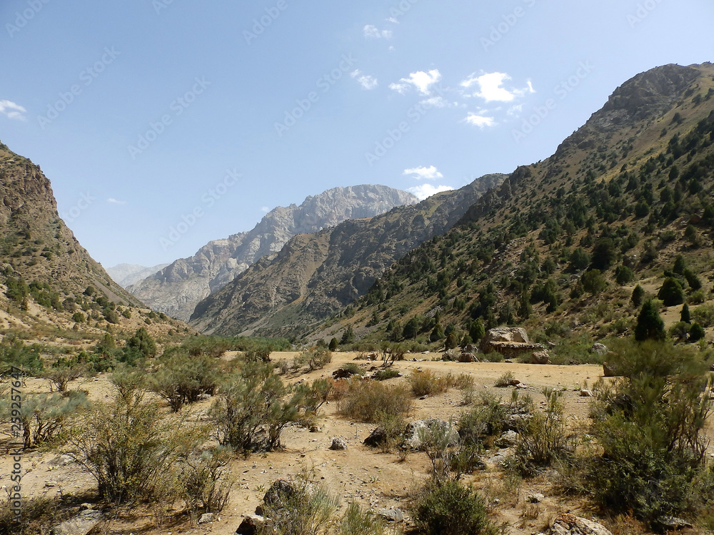 Valley in the Fan Mountains, panorama nature. Tourism in Central Asia, Tajikistan.