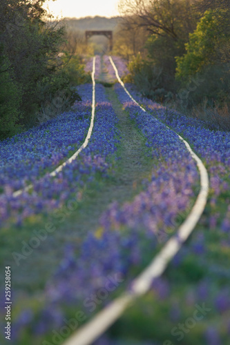 Sunrise in the Texas Hill Country