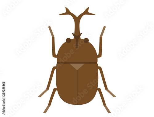 カブトムシ