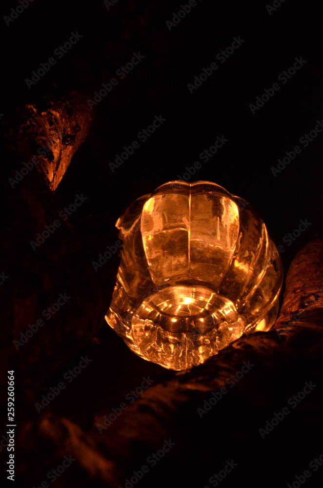 Fototapeta premium 夜