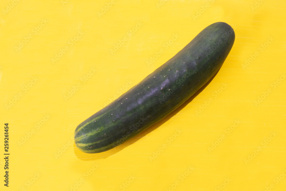 Cucumber on colorful background Cucumber on colorful background