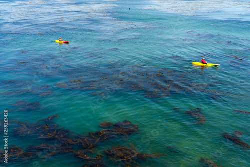 two yellow kayaks in the blue green ocean with kelp in California coast Monterey Bay