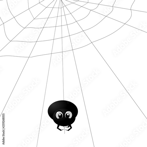Spinne