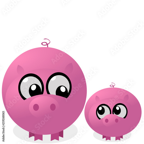 Schwein