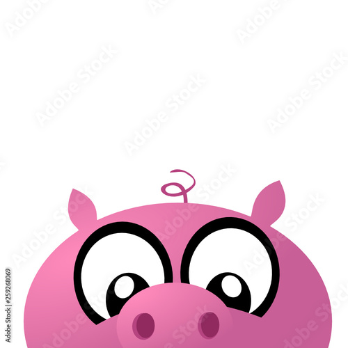 Schwein