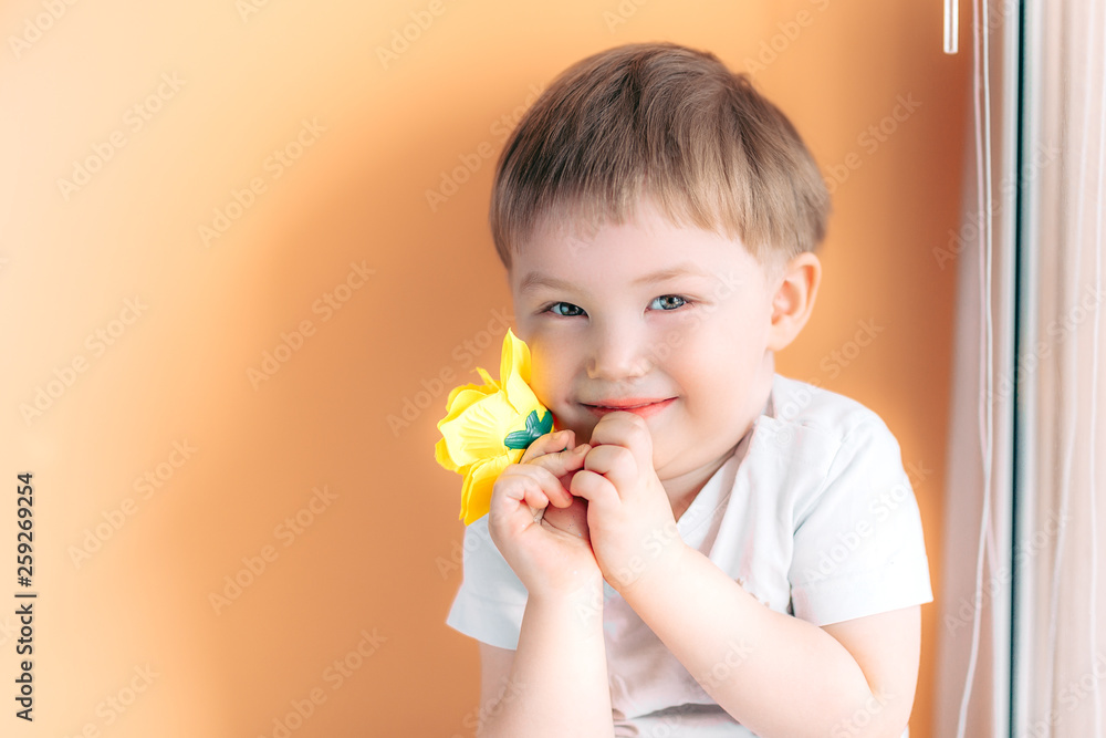A little man kid toddler holding a yellow rose and shy on orange background A little man kid toddler holding a yellow rose and shy on orange background