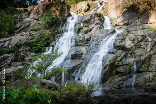 Fototapeta Naklejka Na Ścianę i Meble -  Beautiful waterfall in green forest