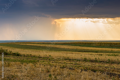 Rural scenery in Moldavia with fields of corn and sunflower at sunset photo