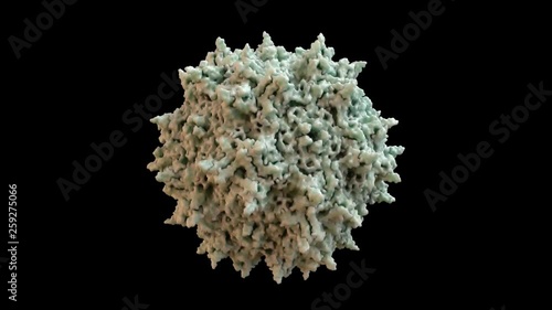 Adeno-Associated Virus (AAV) Capsid Structure based on PDB : 1LP3, 360 degree rotation loop