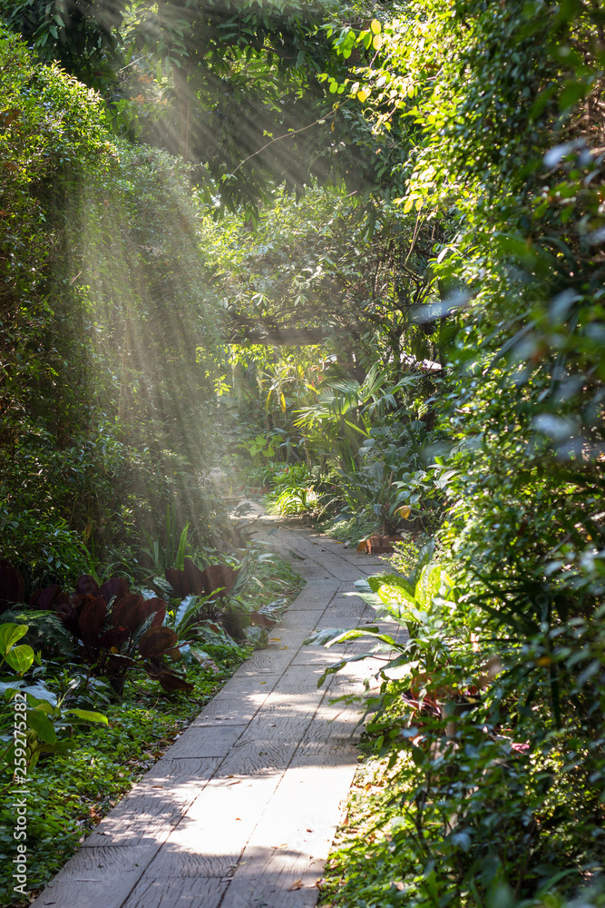 Naklejka premium Walk in the garden with a stone path in the grass.