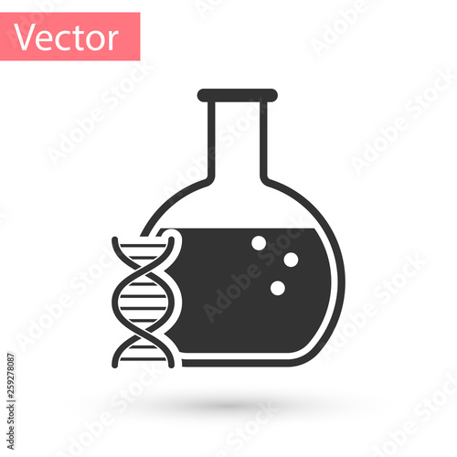 Grey DNA research, search icon isolated on white background. Genetic engineering, genetics testing, cloning, paternity testing. Vector Illustration