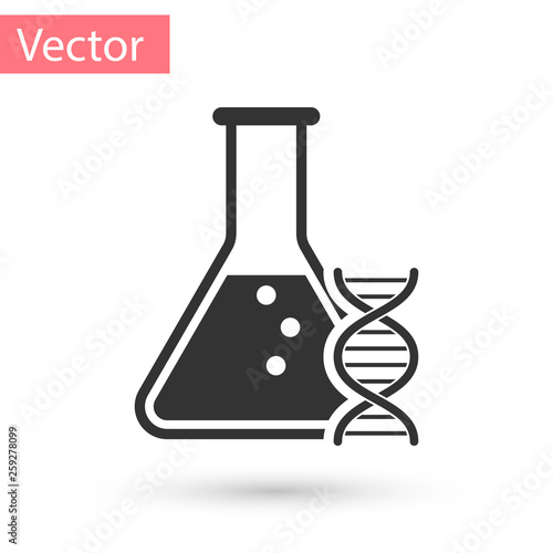 Grey DNA research, search icon isolated on white background. Genetic engineering, genetics testing, cloning, paternity testing. Vector Illustration