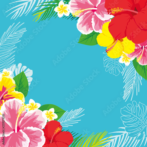 ハイビスカスと海のフレーム