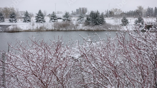 Wallpaper Mural Snow Covered Foliage In Foreground With Lake And Pine Trees And Walkway In Background Torontodigital.ca